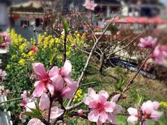 -小鱼草莓采摘园农家乐·小鱼餐厅