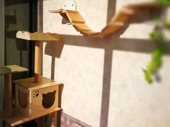 -宠爱国际动物医院· 猫科· 外科·中兽医(长白店)