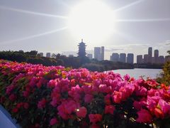 -厦门园林博览苑