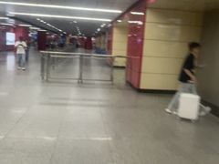 -广州火车站(地铁站)