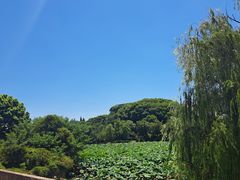 -石湖景区