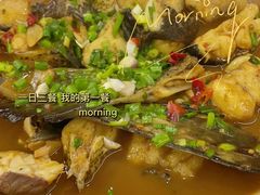 -全乐鱼馆·淳牌有机鱼直营店