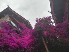 -大冰的小屋