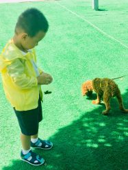 -萌宠亲子动物乐园(槐房万达店)