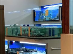-池记大牌档(广纸店)
