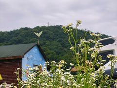 -海宁大尖山滑翔伞运动基地