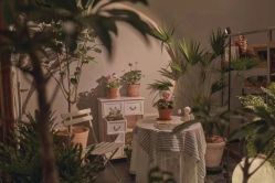 -芳香乐府SPA·五行芳疗