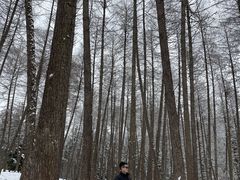 -硗碛藏寨·神木垒景区