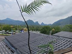 -宴武夷·匠心闽味(印象大红袍店)