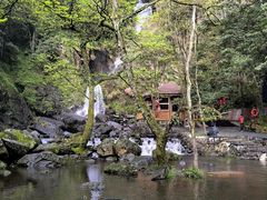 -石台牯牛降景区