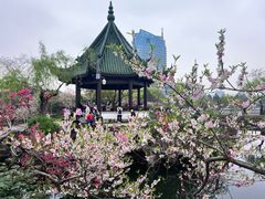 -无锡蠡湖国家湿地公园-蠡园