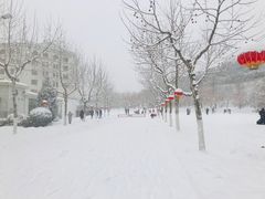 -哈尔滨工业大学(威海校区)