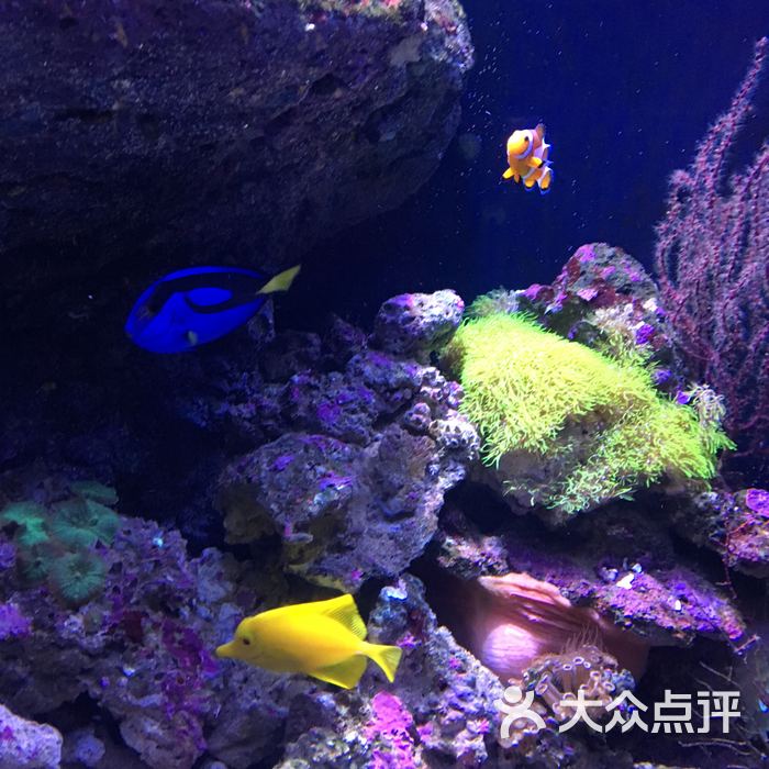 海濱城浩海立方海洋館