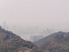-南山植物园