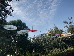 -西安汉城湖景区