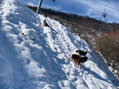 -太子岭滑雪场