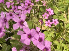 -上海交通大学(闵行校区)