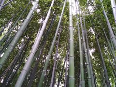 -紫金山天文台
