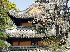 -龙华寺