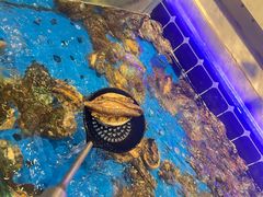 -川骄海鲜自助(河东店)