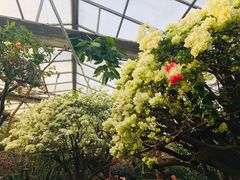 -呀路古热带植物园