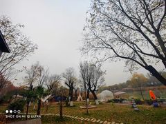 -Supine Bistro溯泮餐厅