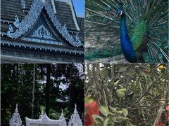 -野象谷景区