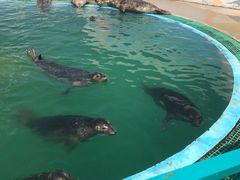 -北戴河圣蓝海洋公园