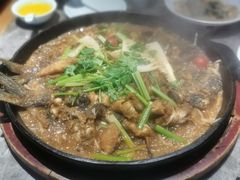 -老板恋上鱼(恒隆广场店)