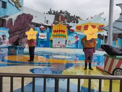 -海合安成都极地海洋公园