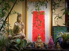 -朝来春花卉市场