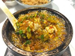 石锅焗猪脑-新蜀会四川豆花(五羊店)