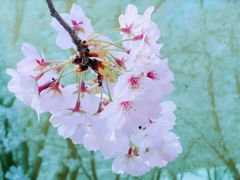 -龙美术馆(西岸馆)