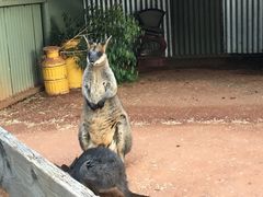 -费瑟代尔野生动物园