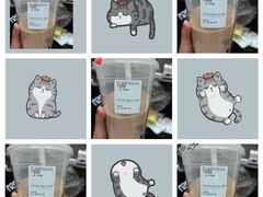 -CoCo都可(虹口龙之梦店)