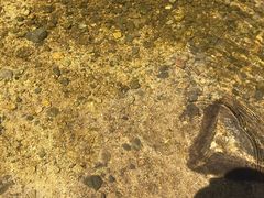 -碓臼峪自然风景区