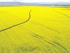 -DJI大疆(深圳华强北曼哈授权体验店)