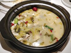 -周渝食惦酸菜鱼(青浦店)