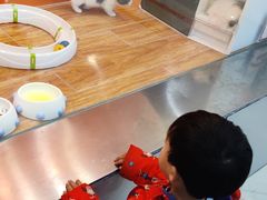 -狗道宠物(常熟印象城店)