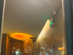 -施奈儿.洗头頭療.按摩SPA.采耳(上梅林店)