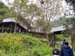 -沣峪口