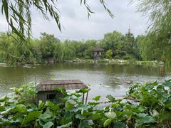 -中国翰园碑林
