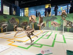 -国家自然博物馆