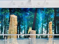 -延庆地质公园博物馆