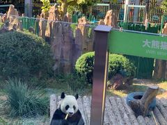 -大连森林动物园