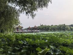 -长春市南湖公园