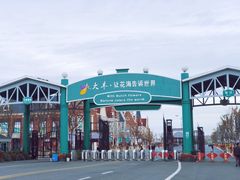 -荷兰花海