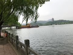 -杭州西湖柳莺里酒店·闻莺厅