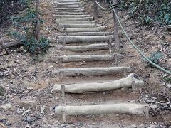 -马峦山郊野公园
