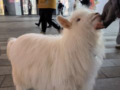 -大悦城(沈阳中街店)